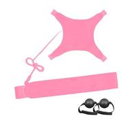 Court Pro - Adjustable Elastic Multifunctional Indoor Aid, Volleyball Hitting Serving Trainer Performance System, Professional Outdoor Jump, Arm Swing Accuracy, Industrial Grade Cobalt Neon