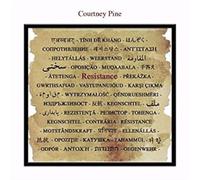 Courtney Pine - The Awakening Process