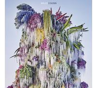 COUSIN by Wilco [CD] NEUF