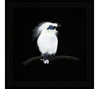Cousin Zaka Volume 3 Vinyle