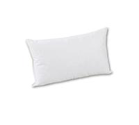 Coussin 45 cm x 55 cm - 85 % plumes blanches nouveau, 30 % duvet classe i 450 g beige