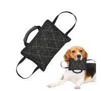 Coussin à mâcher pour chien, jouet à mâcher pour animaux de compagnie, coussinets de dentition, jouets pour dressage de chien, jouet pour chien, jouet rembourré pour chien, coussinets de morsure pour