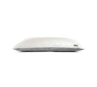 Coussin antibactérien double face London pour chiens et chats Record