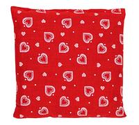 Coussin aux grains d´épeautre - rouge avec des coeurs- Bouillotte sèche 12x12cm - Coussin thermique - Coussin aux graines - Compresse froide