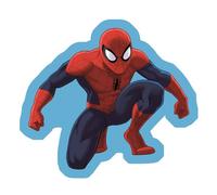 AYMAX Coussin en Forme de Spider Man Multicolors G