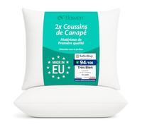 Coussin Canape 60x60 Lot de 2 Oreillers Decoratif Accessoires pour Sofa Decoration Aesthetic pour Salon et Exterieur Antiallergiques et Anti-Acariens avec Taie d'oreiller en Microfibre