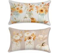 Coussin Canape 60x90 Lot de 2 fleur Taie Oreiller Citrouille Coussin Decoratif Lin Coussins Canapé Rectangulaire Coussins Taie D'oreiller Decoration Salon Housse Oreiller, pour Decoration Maison z-391