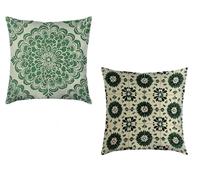 Coussin Canape 65x65cm Lot de 2 Housse de Coussin Vert Cushion Covers Fleur Extérieur Imperméable Velours Decoratif Taie Oreiller pour Maison Salon Chambre Lit Clic Clac Voiture Decor Cadeau Y-9061L
