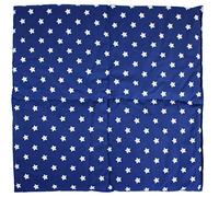 Coussin carré aux graines de lin 40x40cm compartimenté en 4 - bleu étoilé- Bouillotte sèche