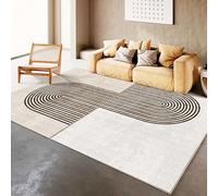 Coussin chauffant, chauffe-pieds électriques à chauffage rapide avec réglages de chaleur, grands tapis de sol chauffants pour soulager les douleurs du dos, du cou et des épaules(C,200x300cm)