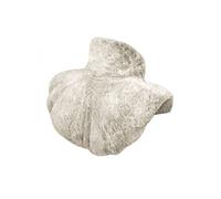 Vivezen - Coussin chauffant, tour de cou pour épaules et nuque - Cosy - Plusieurs coloris