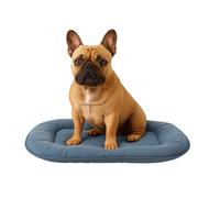 Coussin Chien - Coussin Chat - 55x39x3cm - Idéal pour Shih Tzu, Pékinois, Cavalier King Charles Spaniel, Pinscher Nain & Papillon - Flamingo Coussin Firenze Ovale Bleu