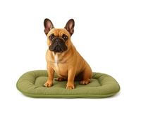Coussin Chien- Coussin Chat - 55x39x3cm - Idéal pour Shih Tzu, Pékinois, Cavalier King Charles Spaniel, Pinscher Nain & Papillon - Flamingo Coussin Firenze Ovale Vert
