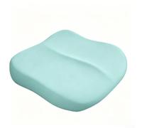 Coussin Conduite pour camion Van Gris Coussin Conduite pour | Mousse à mémoire de , soulage sciatique, coccyx, douleur pelvienne, long trajets(Light Green)