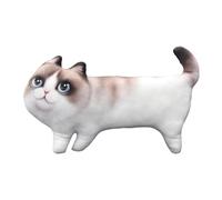 Coussin créatif pour chat - Simulation 3D - Poupée d'animaux - Photographie - Cadeau d'anniversaire - Décoration d'intérieur - Effet visuel et plaisir