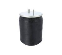 Coussin d'air DT Spare Parts 2.62708 Coussin d'air