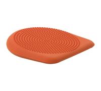 Togu Dynair Balle-coussin Terra 40 cm