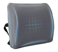 Coussin de Dos Couleur unie Réglable Mousse à mémoire de forme lombaire vidaXL v