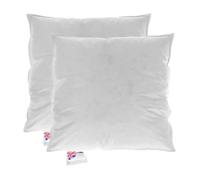HOMESCAPES Coussin de garnissage en Duvet et Plumes d’oie et Coton, Coussin à recouvrir 80x80 cm - Lot de 2