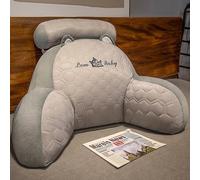 Coussin de grossesse en latex de soie glacée Dessin animé Animal Extra Large Coussin câlin Regarder la télévision Coussin de soutien lombaire Coussin de détente pour adultes(Size:60*40cm,Color:Gray1)