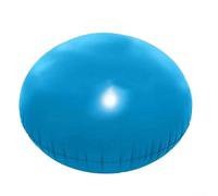Coussin de piscine gonflable en PVC pour l'hiver - Protection contre l'eau - Empêche l'accumulation d'eau et de saleté sous les couvertures de piscine - Différentes épaisseurs - Léger et portable (120