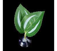 Coussin de repos à ventouse pour aquarium Bettas Fish Hamac Bed Fishtanks Frayer Ground Leaf Aquariums Fournitures d'élevage Décoration d'aquariums