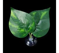 Coussin de repos à ventouse pour aquarium Bettas Fish Hamac Bed Fishtanks Frayer Ground Leaf Aquariums Fournitures d'élevage Décoration d'aquariums