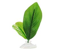 Coussin de repos à ventouse pour poissons Bettas Hamac Fish Tanks Frayer Ground Aquariums Fourniture d'élevage Lit de poisson