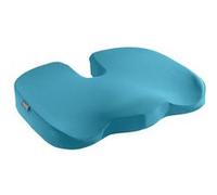 Coussin de siège Leitz Ergo Cosy Bleu Bleu G