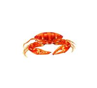 Coussin de vie en peluche en forme de crabe allemand - Doux - Cadeau réaliste de crabe rouge - Jouet réaliste - Éléphant qui parle - Joue au regard - Rouge 1, 60 cm x 30 cm