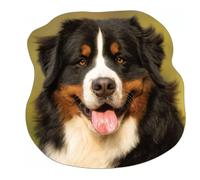 Coussin décoratif - Bouvier bernois