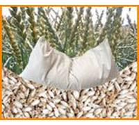 Coussin d'épeautre bio 40 x 80 cm Blanc