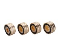 Coussin D'isolation de Caisson de Basses, 4 Pièces SP4010, Pied D'isolation de Haut-parleur, Pieds D'isolation de Haut-parleur avec Pointes de Haut-parleur 40x20mm/1,57x0,78 (GOLD)