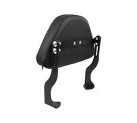 coussin dossier arrière Compatible avec pour PAN AMERICA 1250 RA1250 S ADV pour spécial GL, coussin de siège dossier passager amovible arrière