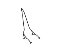 Coussin Dossier Moto Sissy Bar avec Dossier intégré et Amovible pour Passager, Accessoires Moto pour 450CLC 450 CLC CL-C CLC450 450CL-C