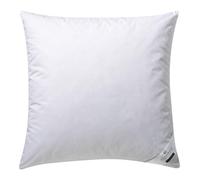 Billerbeck Coussin pour Tête Clivia Fixe 3-Kammer Coussin, vers le Bas Et Plumes