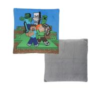 Coussin en Peluche MICF