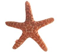 Coussin étoile de mer, Adorable Peluche Douce et réaliste, Animal en Peluche décoratif Coussins décoratifs, décoration océan pour canapé, lit, Chambre, Salon