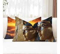 Coussin Exterieur Impermeable 25x50 Lot de 2 Housse Coussin pharaon Taie Oreiller Egypte Rectangulaire Protege Oreiller avec Fermeture éclair Coussins Canapé pour Salon de Jardin Exterieur G1-897