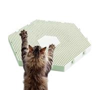 Coussin grattoir pour Chats avec À Chat, Grattoir Antidérapant Lavable Aux | Griffoir lavable pour chat Destiné au Sol, , Sommeil, Soins des Griffes et Vert