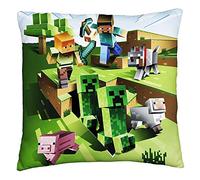 Coussin Minecraft 40X40Cm