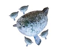 Coussin Phoque en Peluche - Charmant Doudou potelé, Squishy, matériau en Velours Peluche de qualité supérieure | Accent de canapé Douillet pour Chambre d'enfant, Salle de Jeux, Maison