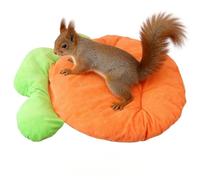 Coussin pour animaux - Literie toutes saisons, salon d'intérieur en forme de carotte pour chien, chat, accessoire de voyage pour niche au sol, balcon, abri de camping-car, endroit de repos, chaise lon