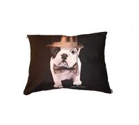 Coussin pour chien Téo Jasmin Dandy Noir 50 cm