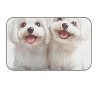 Coussin rafraîchissant pour chien maltais mignon blanc Happy Summer pour animal de compagnie - Lit auto-rafraîchissant lavable pour chien et chat - esterilla rafraîchissant para Perros M