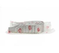 NE 6036003000 Kit de coussinet de vilebrequin
