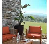 Linxor Kit de coussins pour salon de jardin déhoussables 50 x 50 cm Plusieurs coloris