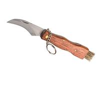 COUTEAU A CHAMPIGNON DOS DENTÉ + BROSSE COUTEAU PLIABLE DE POCHE MANCHE BOIS NF