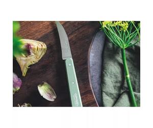 Couteau à légumes N°114 OPINEL Vert sauge