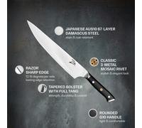 Couteau de chef de 10" de la série japonaise Alpha-Royal acier de Damas